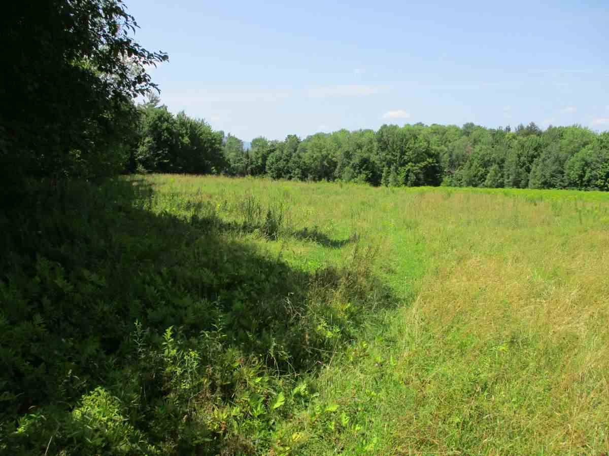 0 Richard Woolcutt Road Wolcott, VT 05680 - Photo 7 of 10