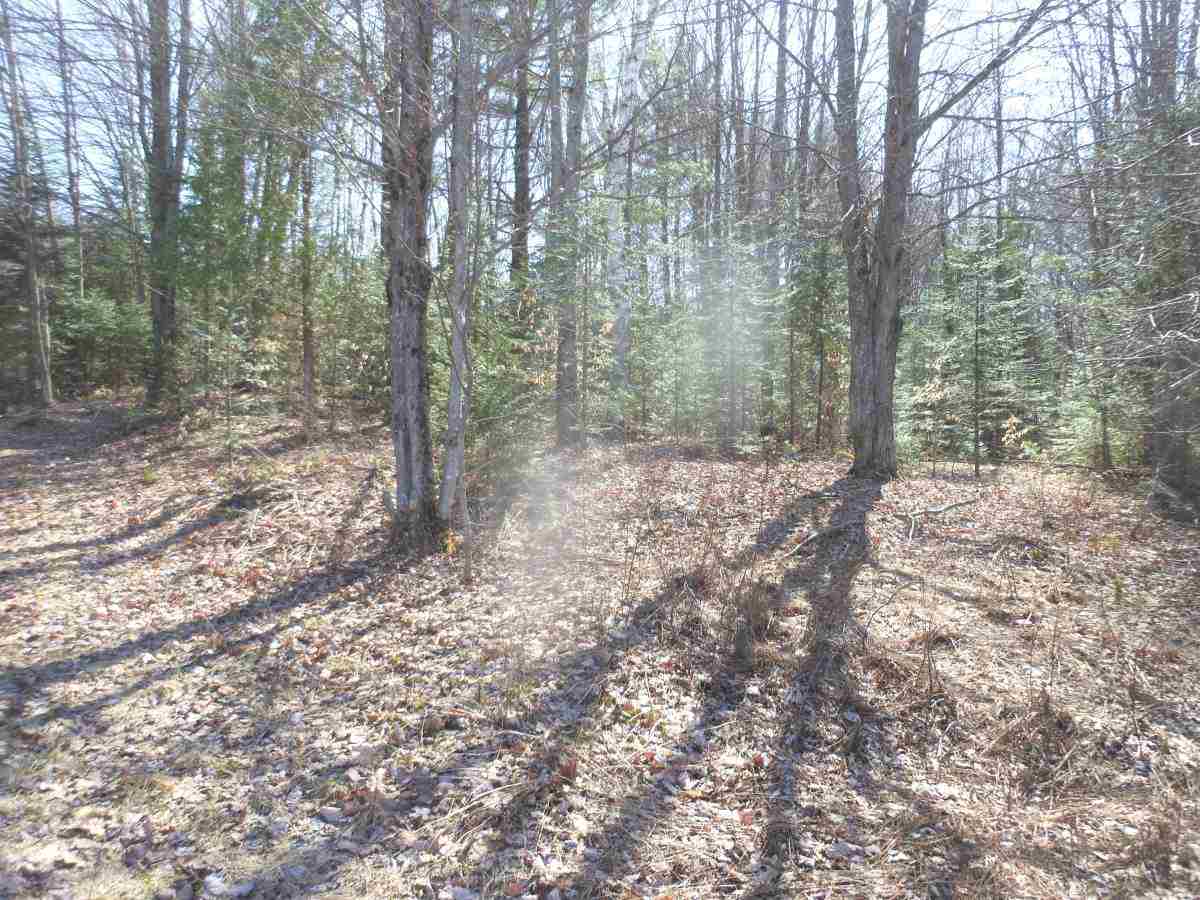 0 Richard Woolcutt Road Wolcott, VT 05680 - Photo 8 of 10