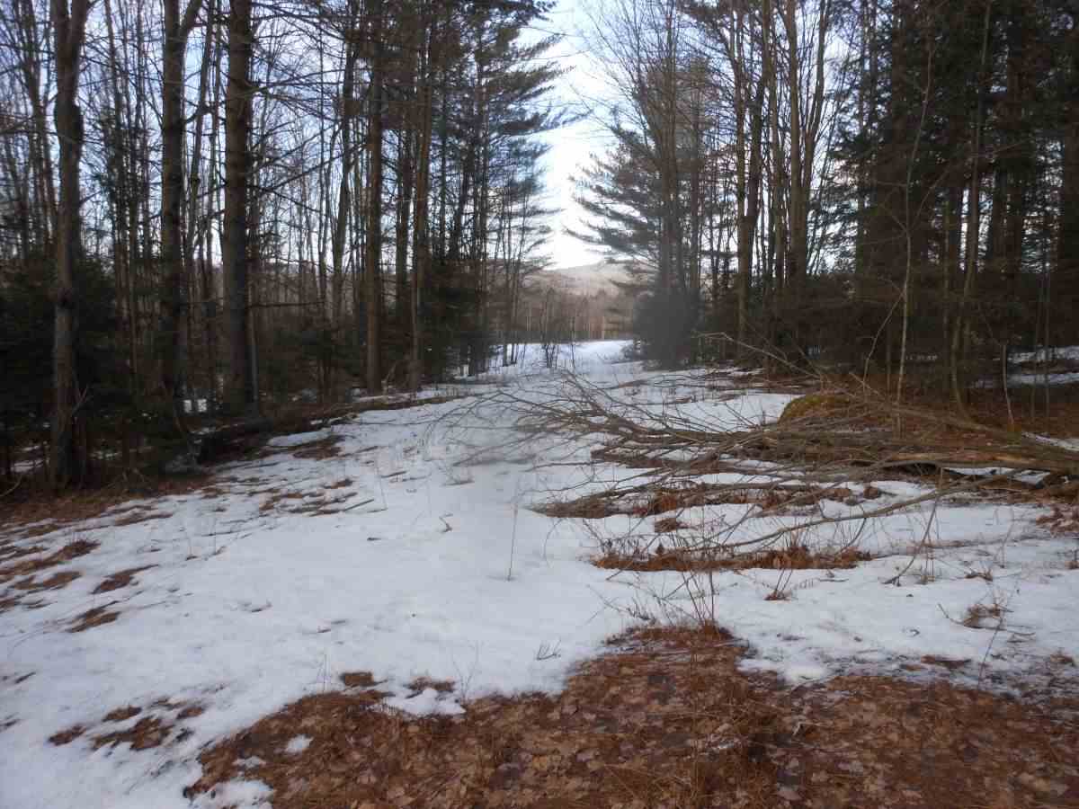 0 Richard Woolcutt Road Wolcott, VT 05680 - Photo 9 of 10