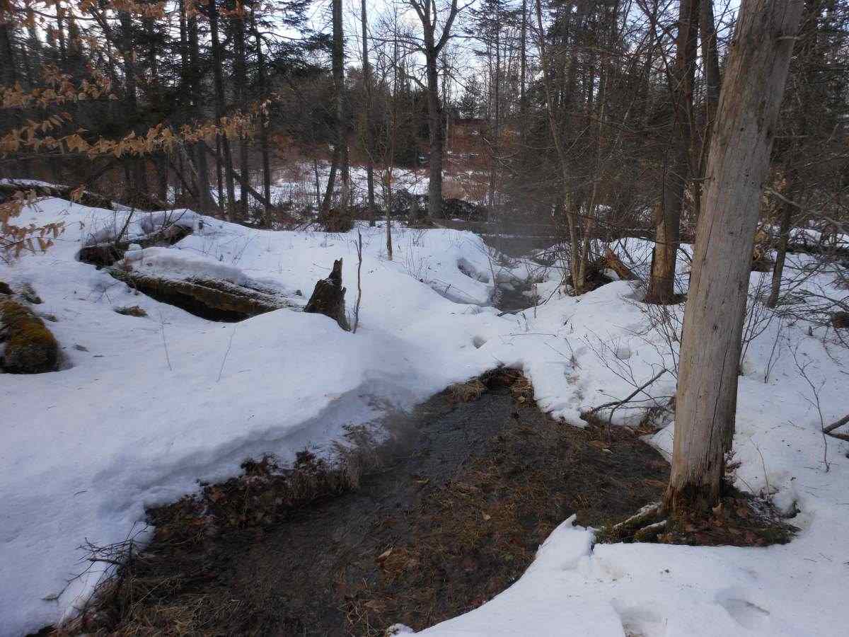 0 Richard Woolcutt Road Wolcott, VT 05680 - Photo 10 of 10