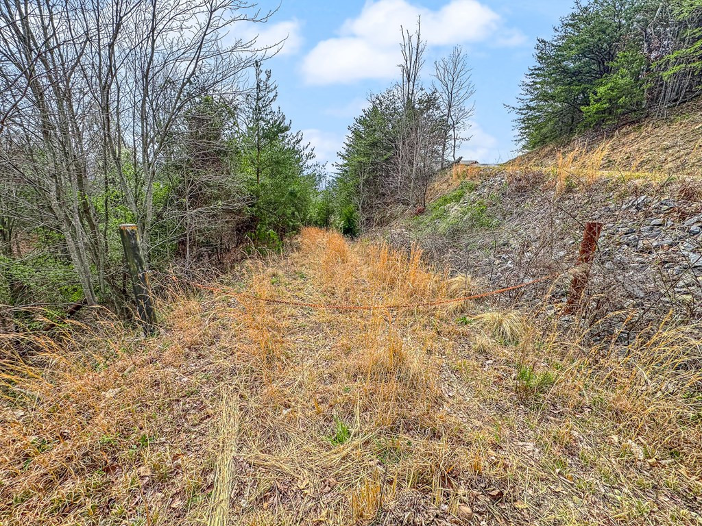 13-acres American Eagle Road Murphy, NC 28906 - Photo 16 of 17