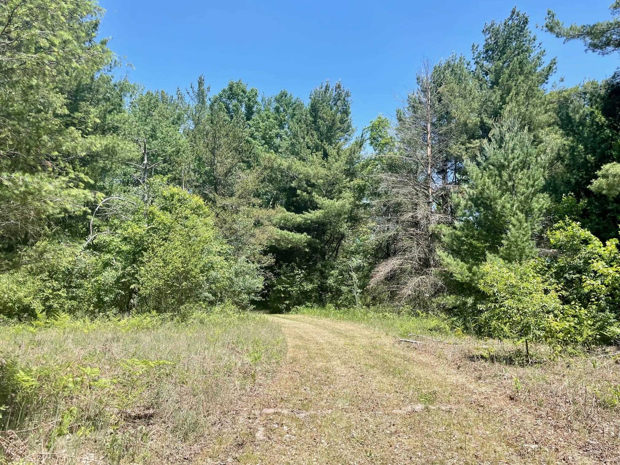 6797 North Us 131 Road Manton, MI 49663 - Photo 7 of 16