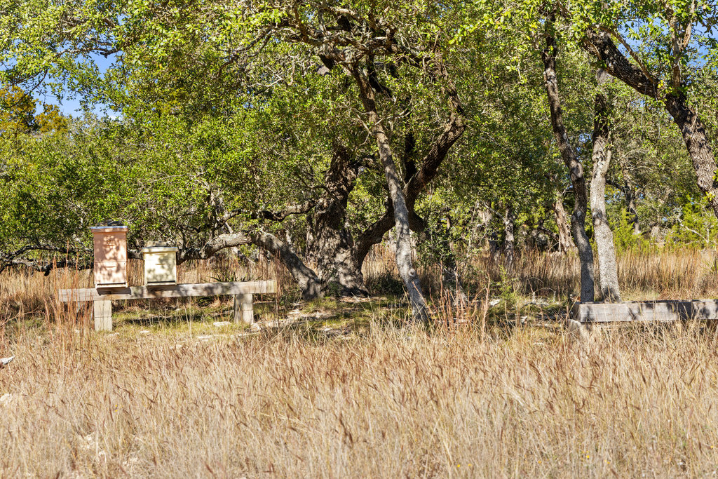 3550 Bell Springs Road Dripping Springs, TX 78620 - Photo 33 of 40 View of yard