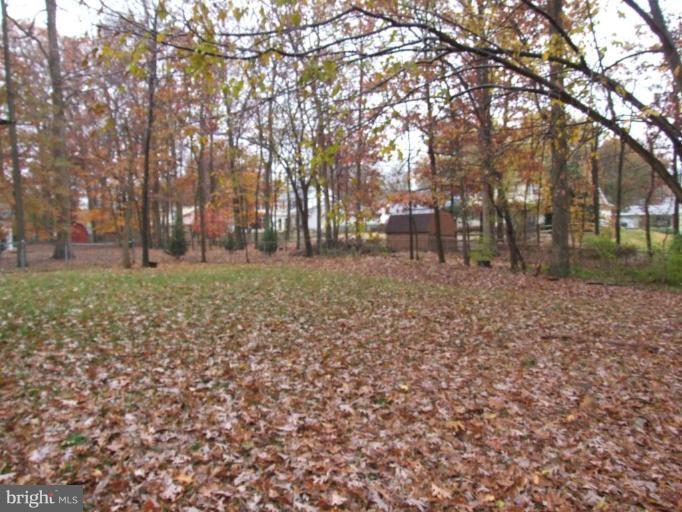 8901 Boxford Court Laurel, MD 20708 - Photo 19 of 19 Back yard