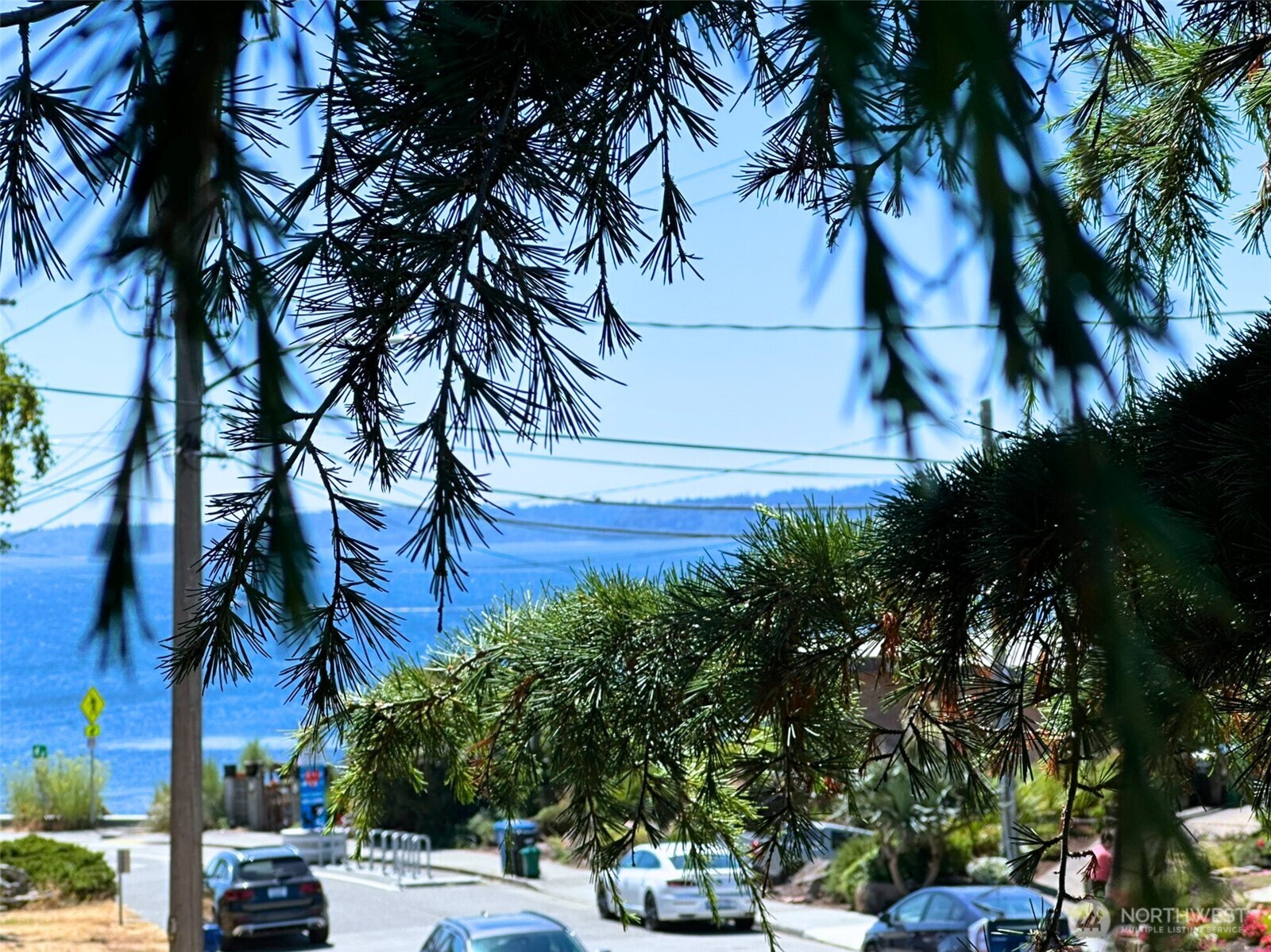 3204 Alki Avenue Southwest, Unit 1 Seattle, WA 98116 - Photo 3 of 35 a view of street with a building and trees