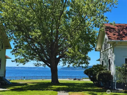 a view of a yard in front of a house with a tree