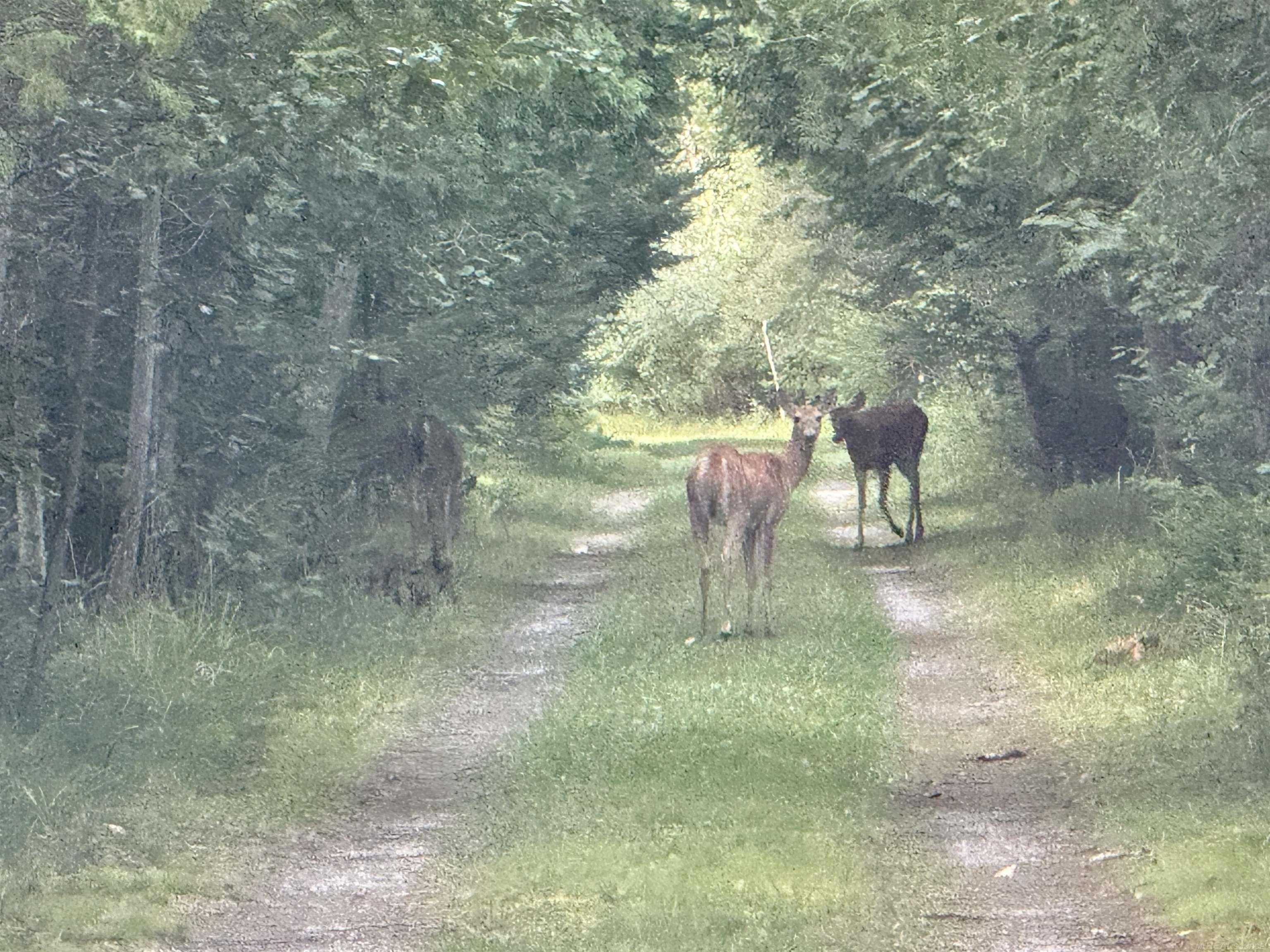 2125 Mckechnie Road Harrisville, MI 48740 - Photo 55 of 61 Wildlife abounds