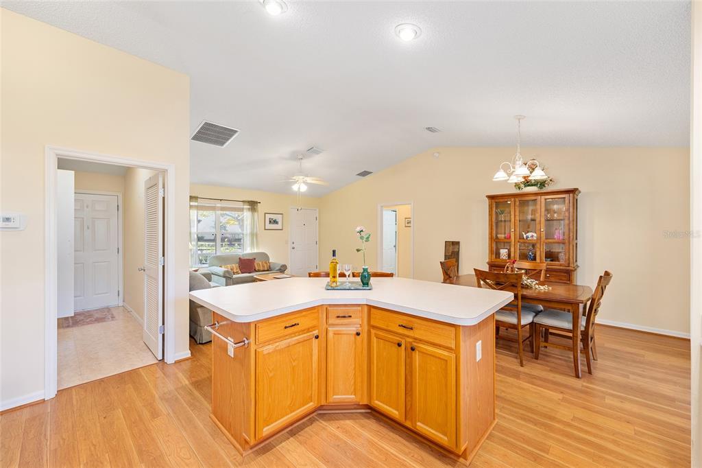 1449 Murrells Inlet Loop The Villages, FL 32162 - Photo 17 of 46