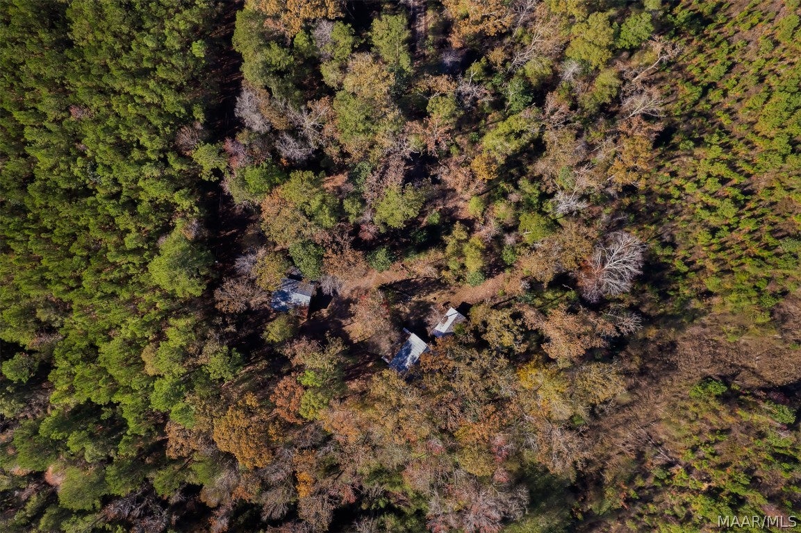 3134 Benton Store Road Columbia, AL 36319 - Photo 62 of 62 Gallery Image 62