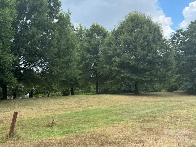 a view of a forest with trees in the background
