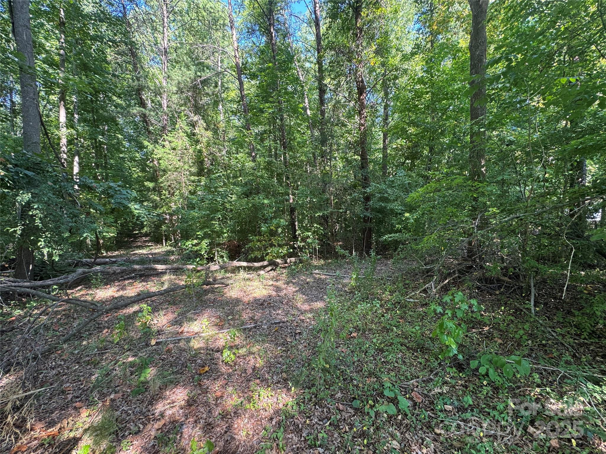 3400 Pleasant Road Fort Mill, SC 29708 - Photo 12 of 19 a view of a forest with trees in the background