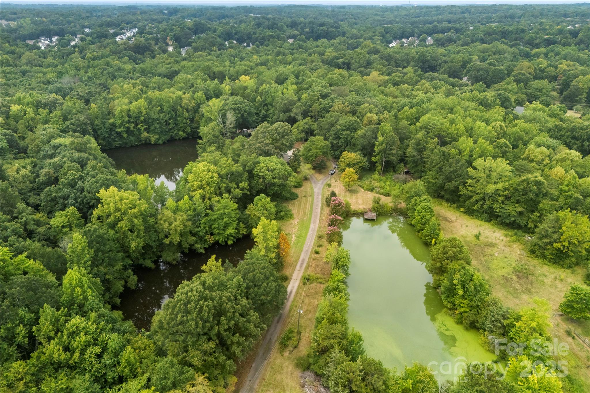 3400 Pleasant Road Fort Mill, SC 29708 - Photo 19 of 19 an aerial view of residential houses with outdoor space and trees all around