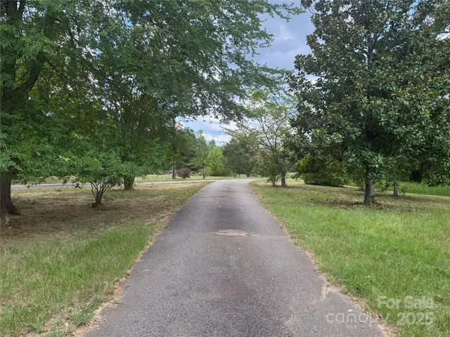 a view of a street with a yard and a large trees