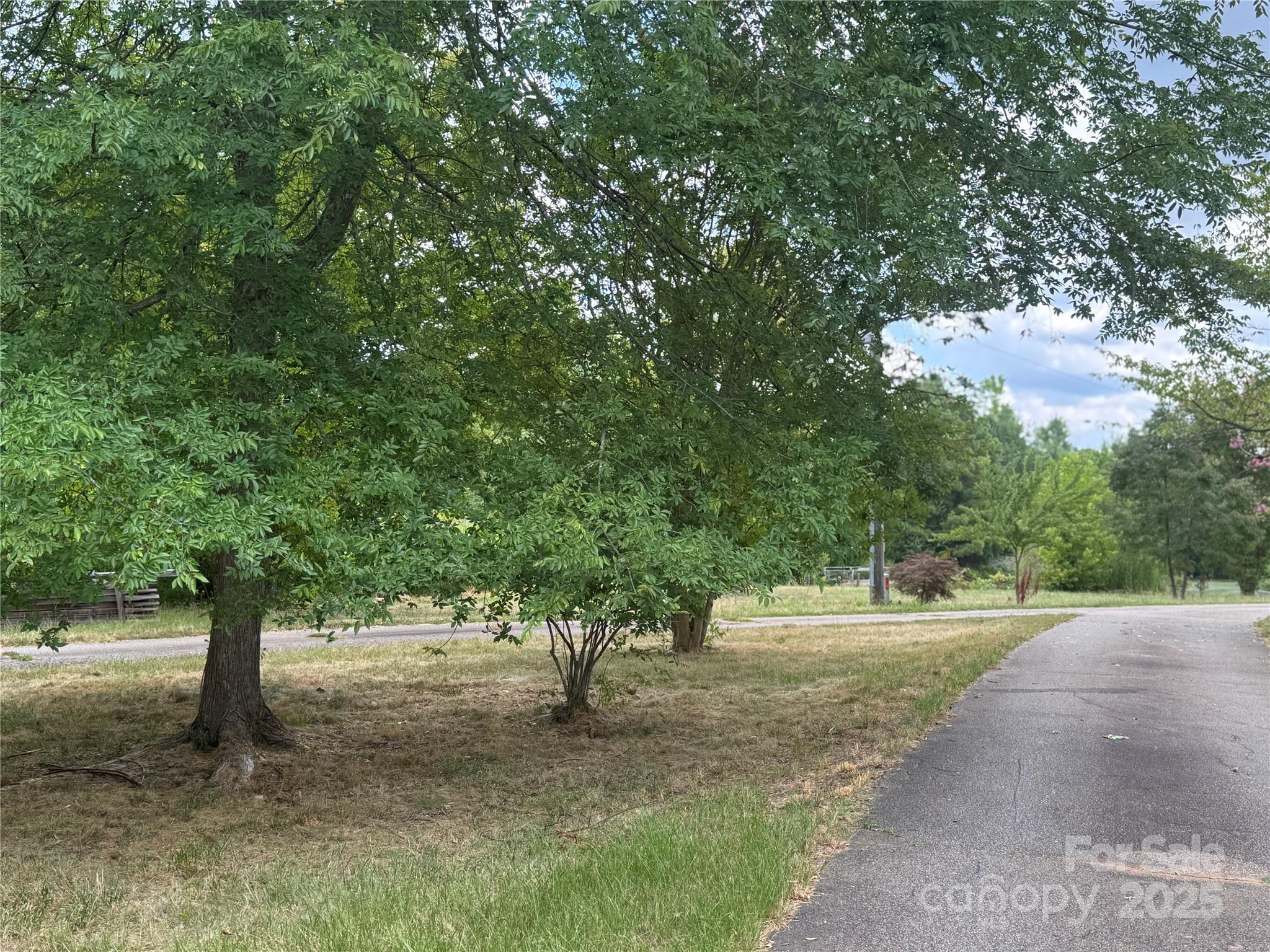 3400 Pleasant Road Fort Mill, SC 29708 - Photo 5 of 19 a view of a street with a tree