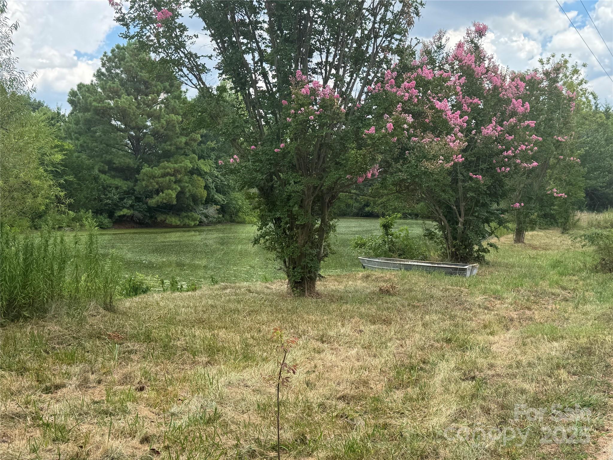 3400 Pleasant Road Fort Mill, SC 29708 - Photo 6 of 19 a fire hydrant in the middle of a field