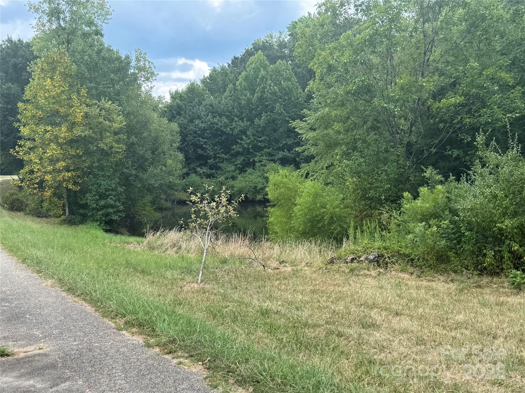 3400 Pleasant Road Fort Mill, SC 29708 - Photo 10 of 19 a view of a lush green forest with lots of trees