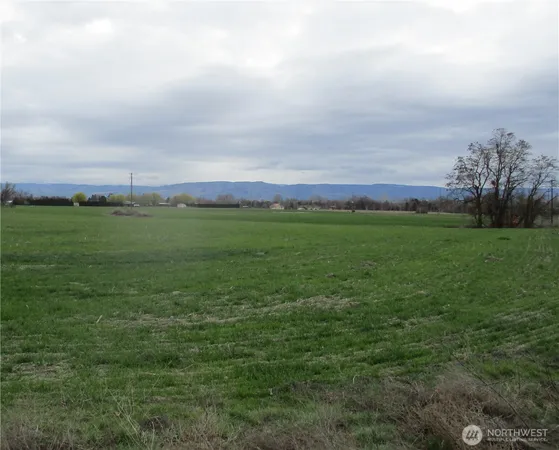 a view of a big yard with lots of green space