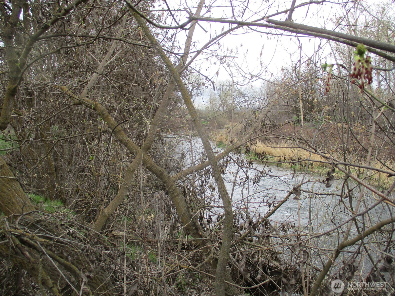 0 Bunchgrass Lane Walla Walla, WA 99362 - Photo 12 of 17 a view of tree