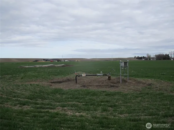 a view of field with ocean