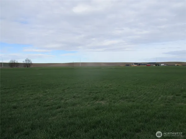 a view of a field with an ocean
