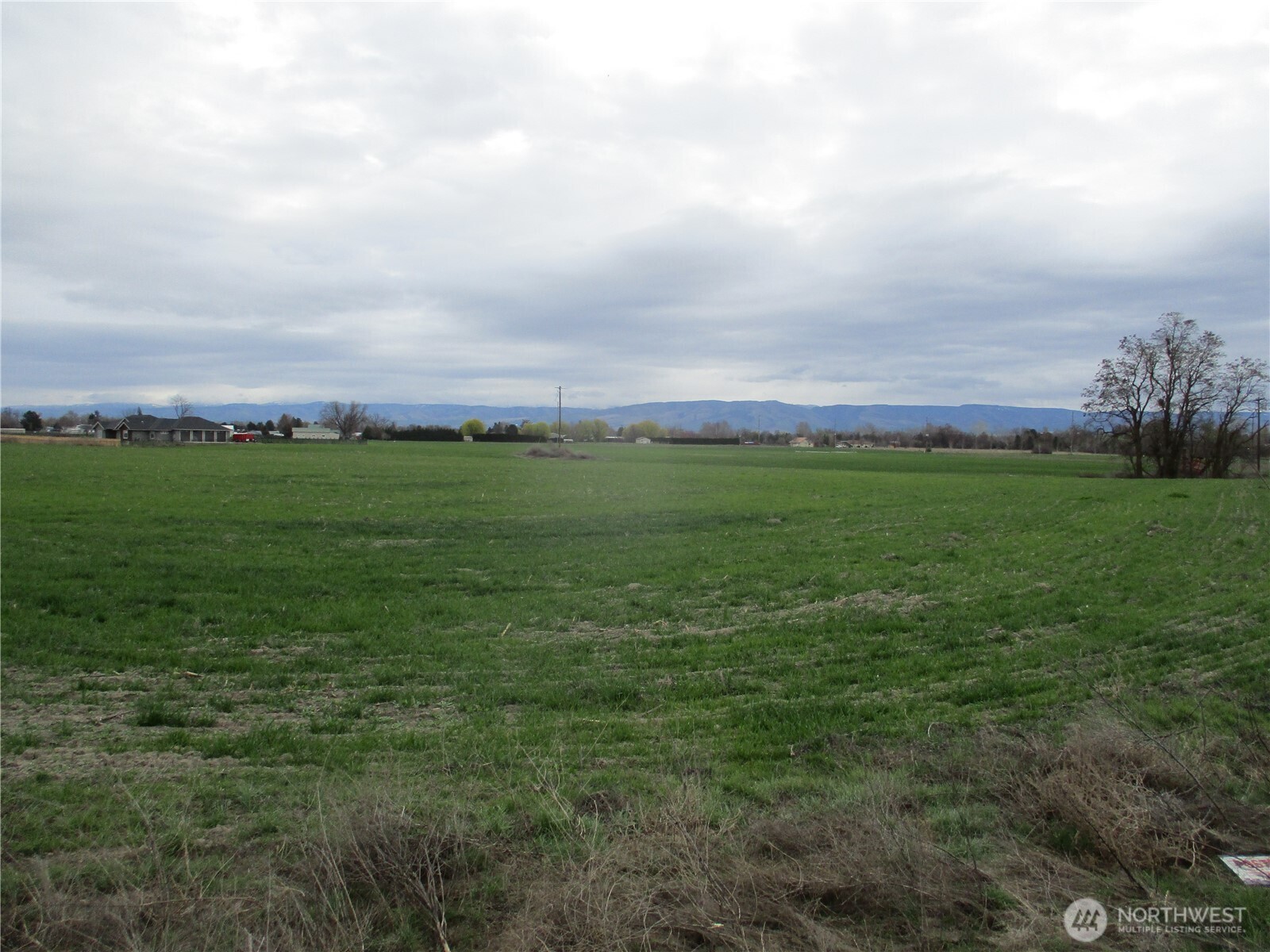 0 Bunchgrass Lane Walla Walla, WA 99362 - Photo 6 of 17 a view of a big yard with lots of green space