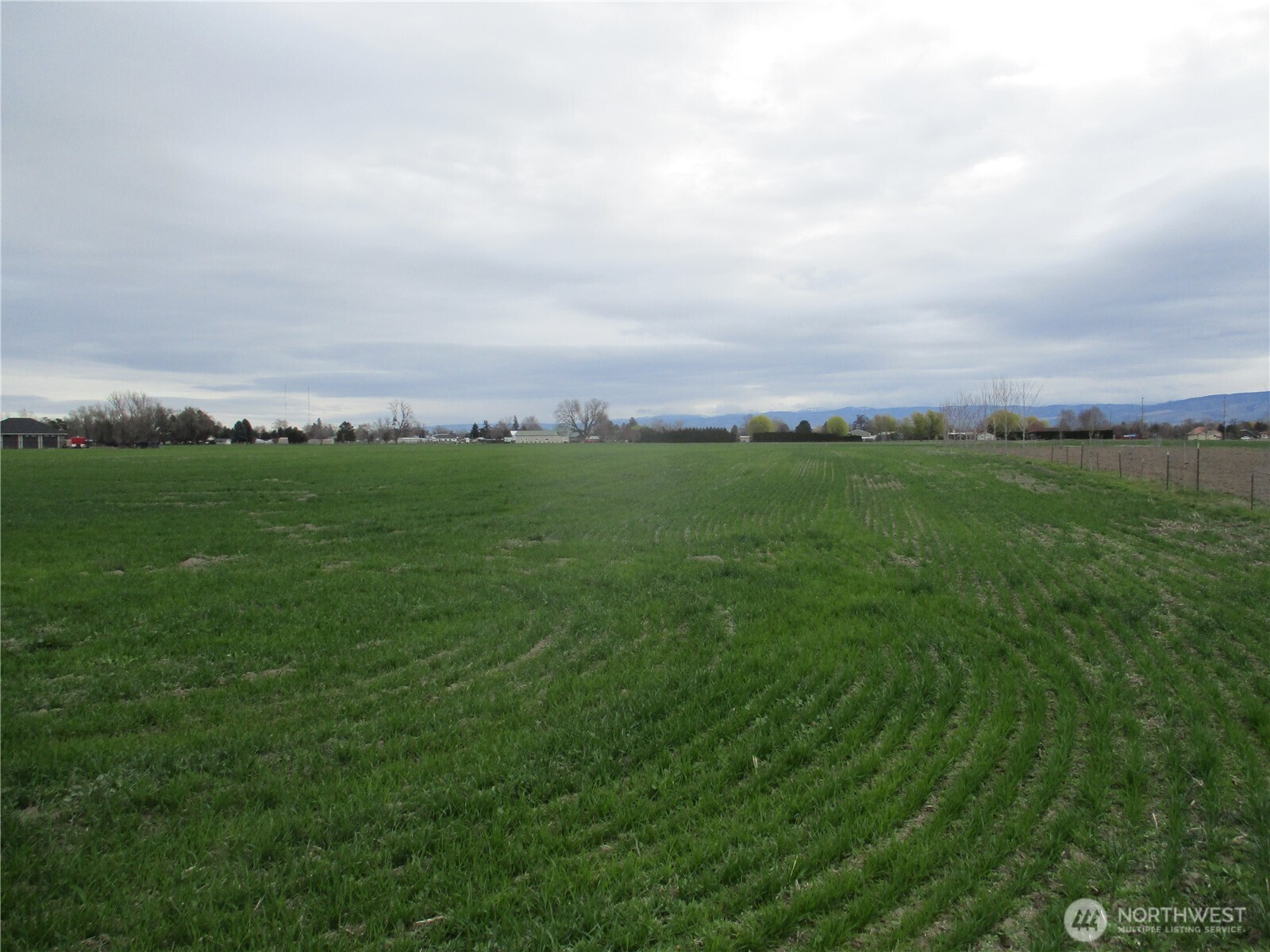 0 Bunchgrass Lane Walla Walla, WA 99362 - Photo 7 of 17 a view of a big yard with plants and large trees