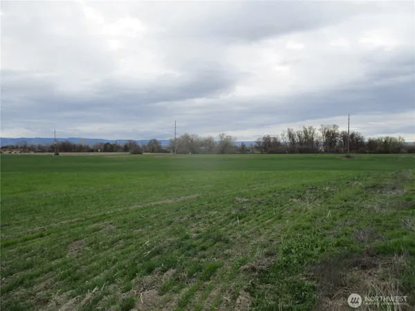 a view of a field with an ocean