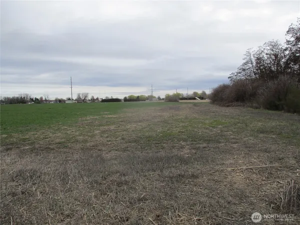 a view of a field with an ocean