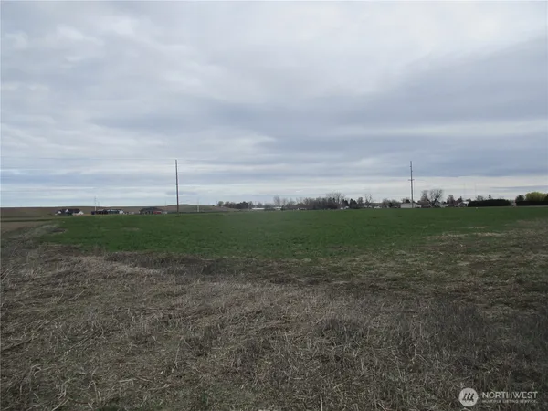 a view of a field with an ocean