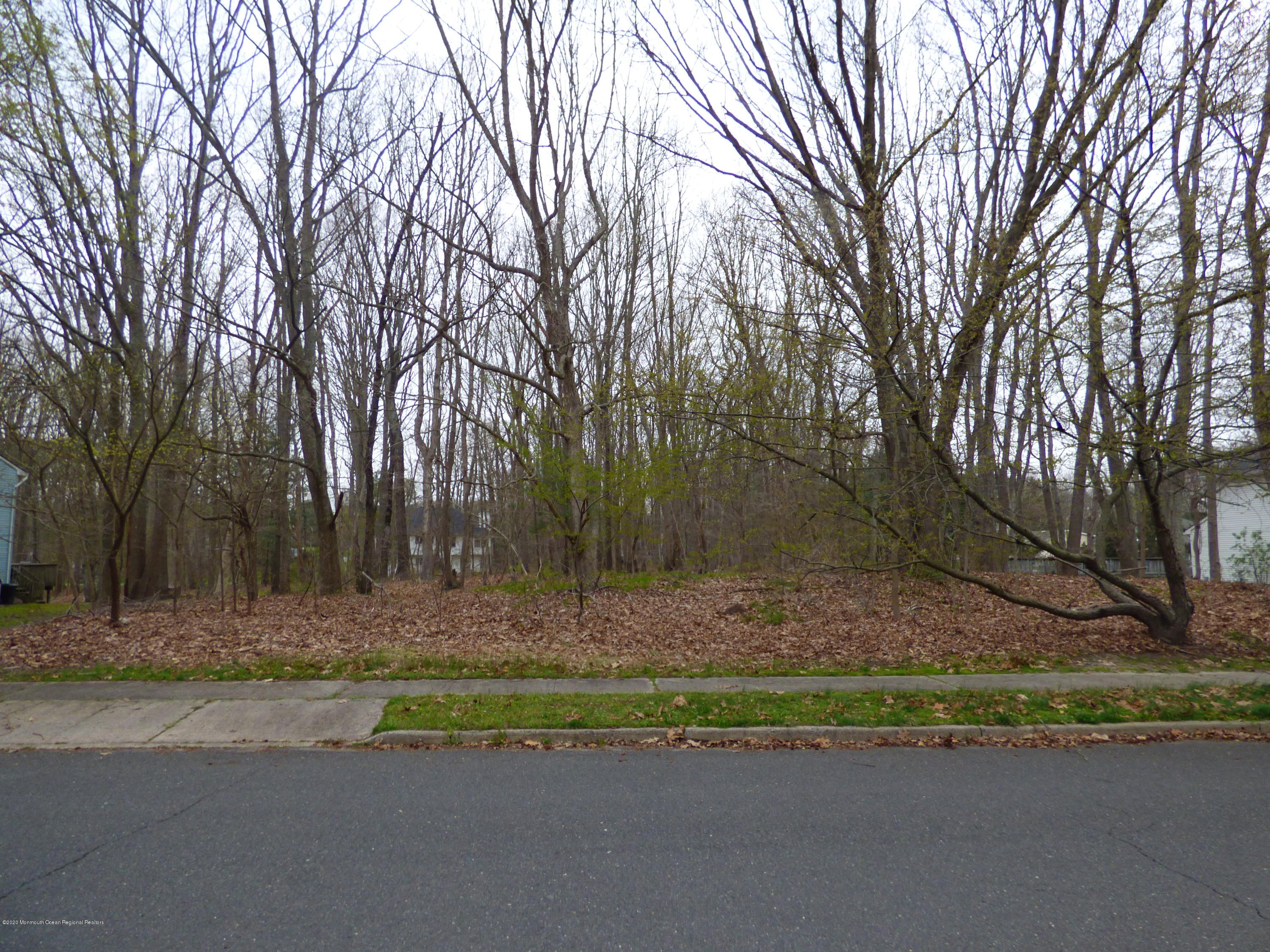 161 Eaglenest Road Freehold, NJ 07728 - Photo 1 of 5 P1010844
