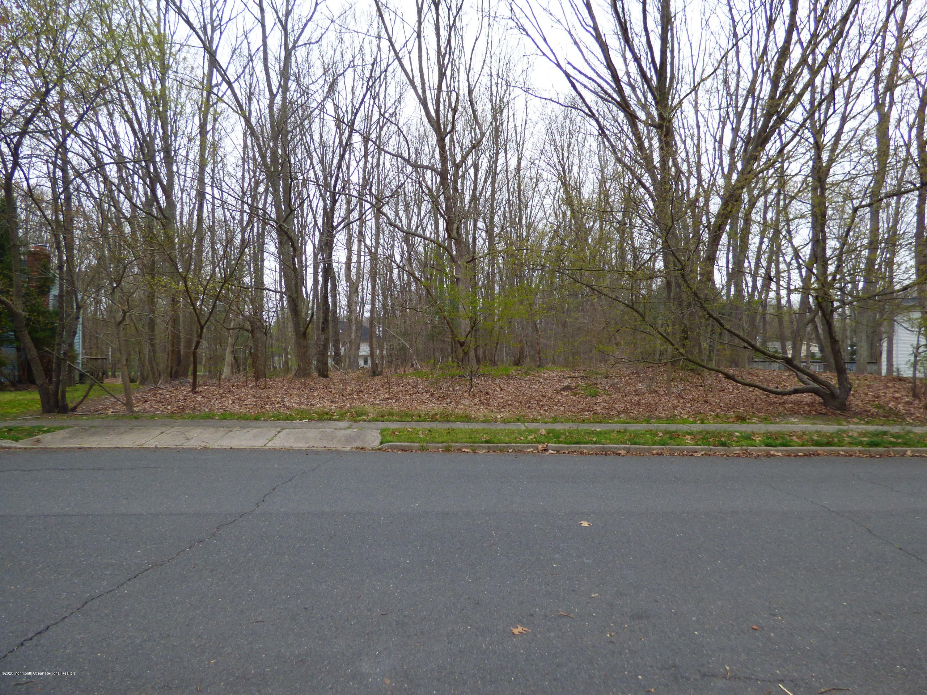 161 Eaglenest Road Freehold, NJ 07728 - Photo 5 of 5 P1010843