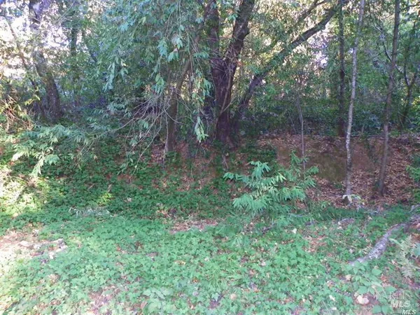 $6,800 | 9465 Westside Road, Forestville, CA 95436