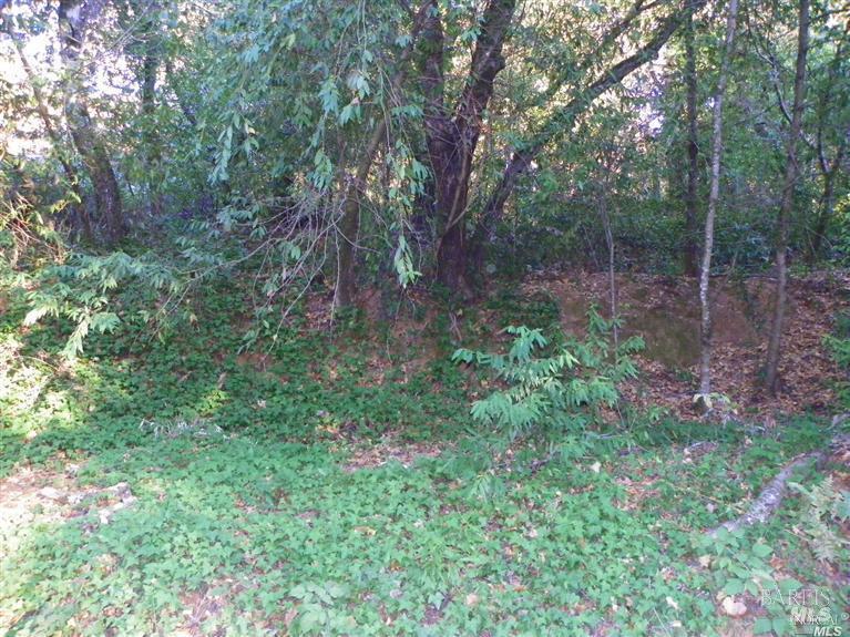 9465 Westside Road Forestville, CA 95436 - Photo 4 of 9