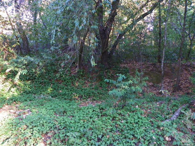 9465 Westside Road Forestville, CA 95436 - Photo 5 of 9