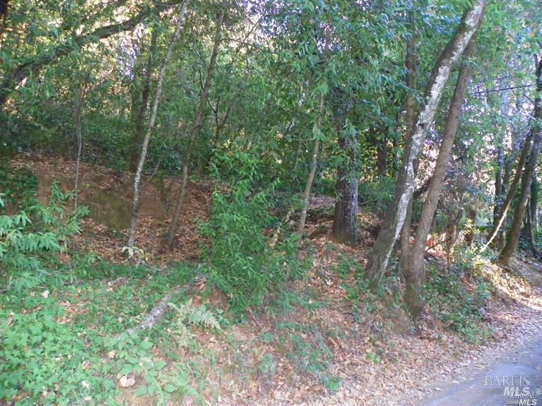 9465 Westside Road Forestville, CA 95436 - Photo 6 of 9