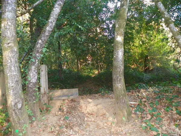 $6,800 | 9465 Westside Road, Forestville, CA 95436