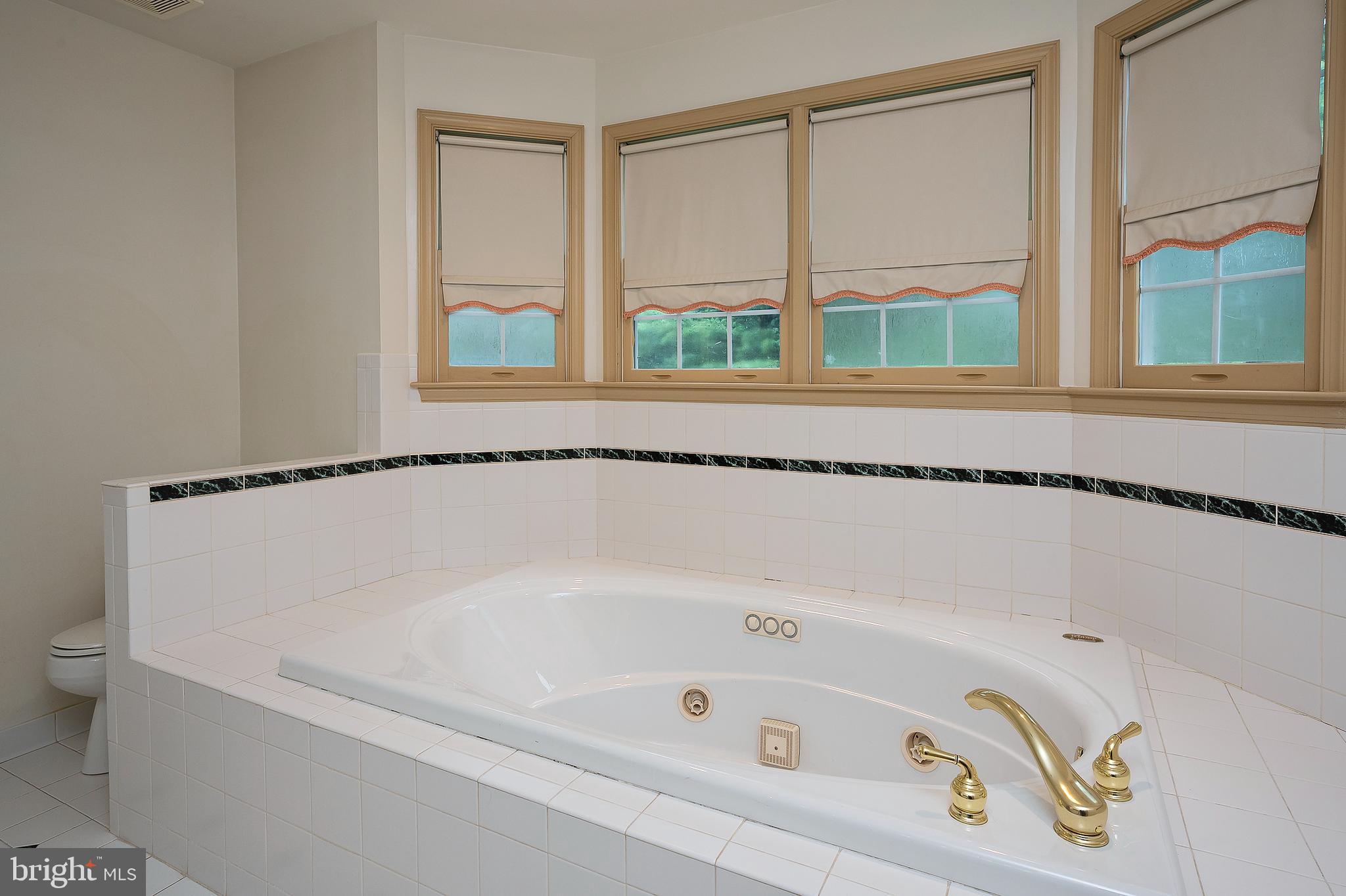 5311 Kerger Road Ellicott City, MD 21043 - Photo 23 of 40 Primary Bath