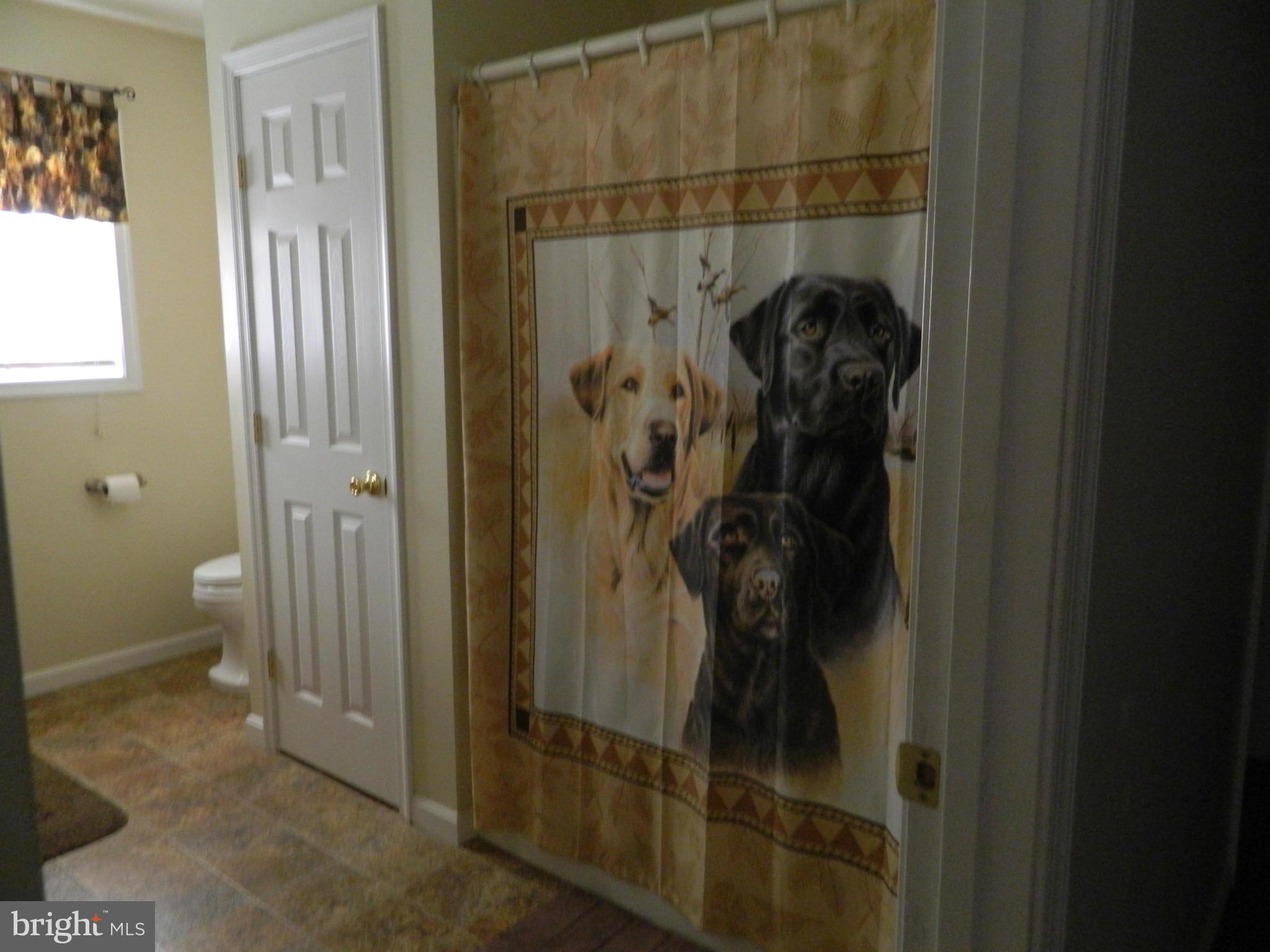 8708 Legion Road Denton, MD 21629 - Photo 12 of 24 Bath