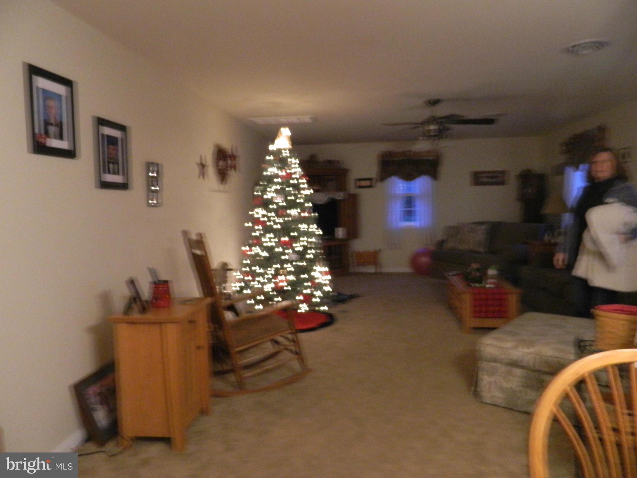 8708 Legion Road Denton, MD 21629 - Photo 20 of 24 Living Room
