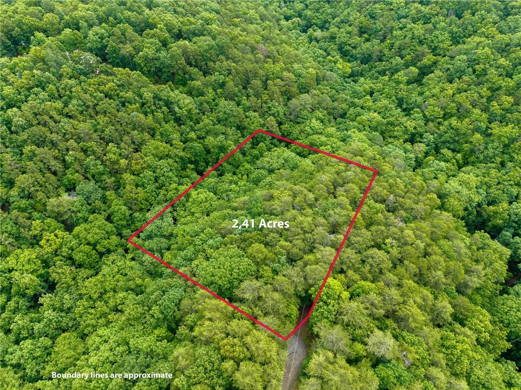 1331 Birch Lane Ranger, GA 30734 - Photo 9 of 43