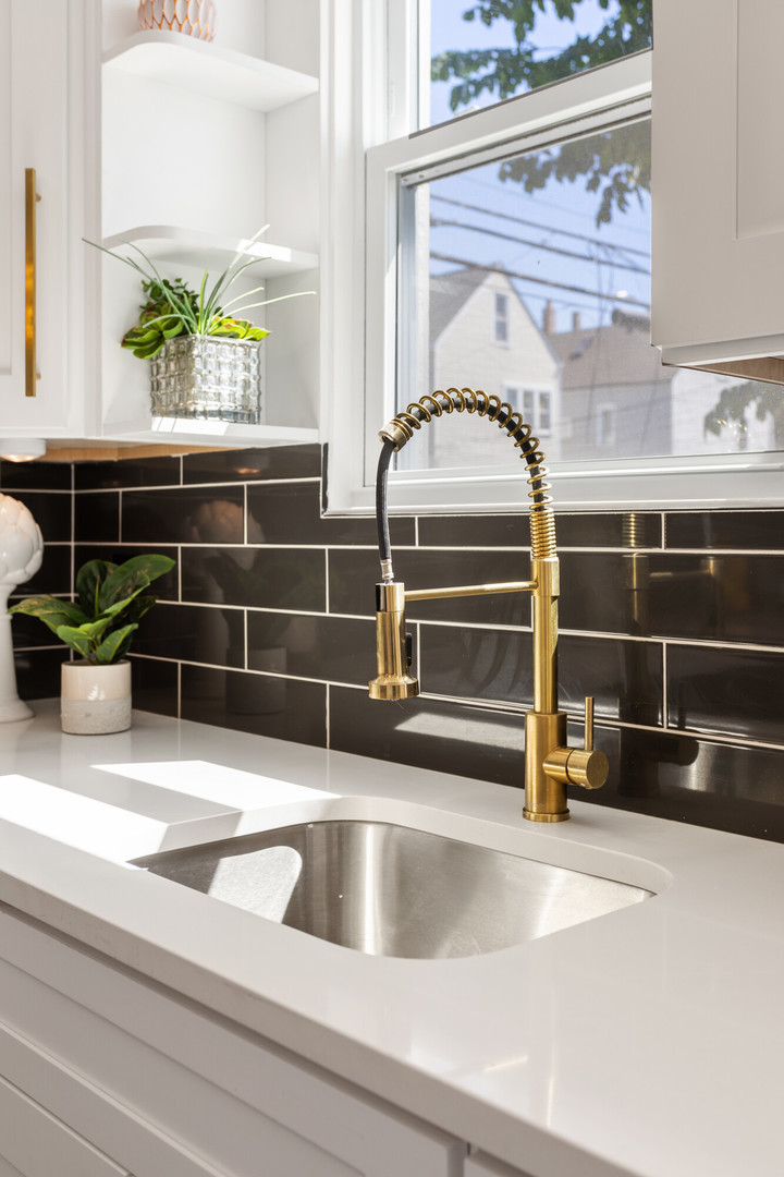 2743 North Ridgeway Avenue Chicago, IL 60647 - Photo 14 of 33 a view of a sink and a potted plant