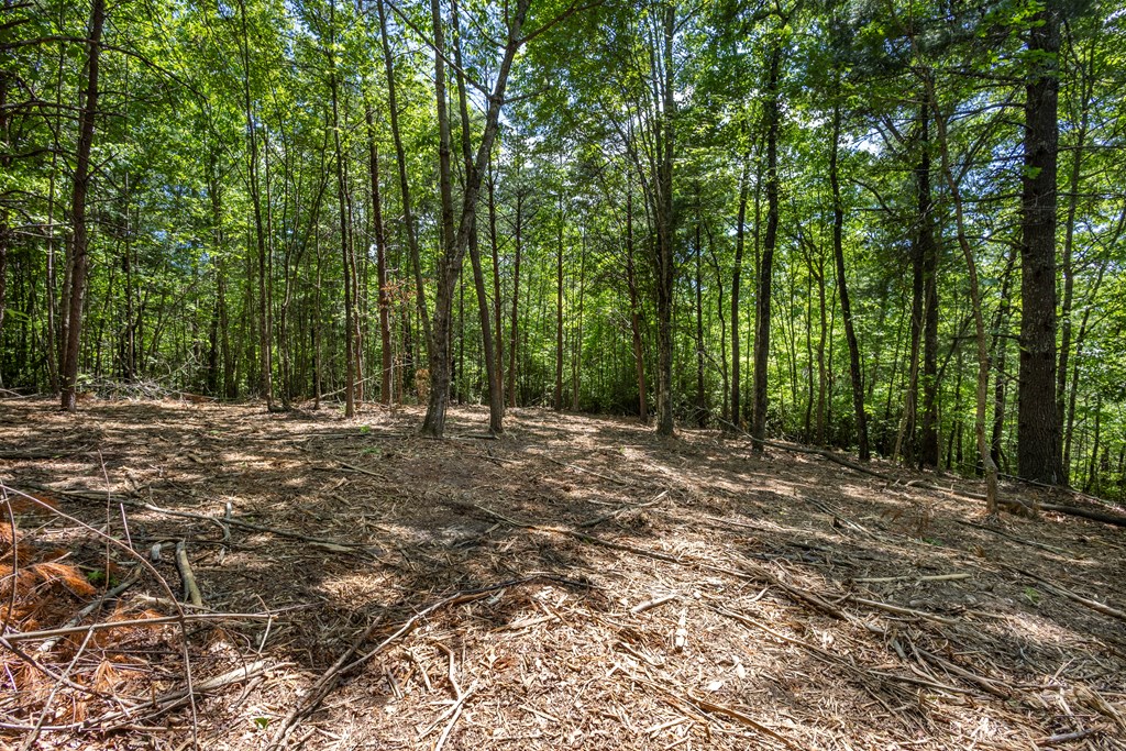 20-ac Pack Mountain Road Murphy, NC 28906 - Photo 6 of 20
