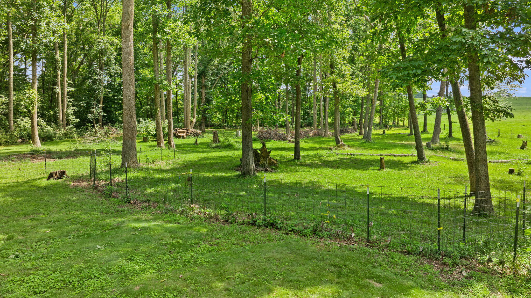 1545 Liberty Road Eubank, KY 42567 - Photo 49 of 54 51-web-or-mls-DJI_20260629153653_0195_D