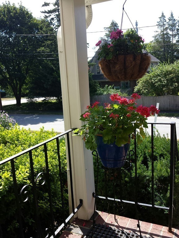 9 Grosvenor Road Needham, MA 02492 - Photo 19 of 21 Gallery Image 19