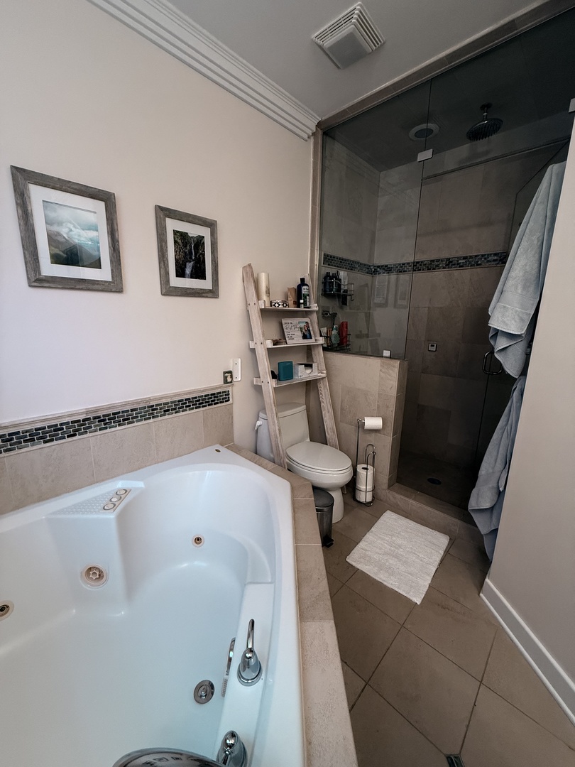 1037 West Monroe Street, Unit 2 Chicago, IL 60607 - Photo 10 of 11