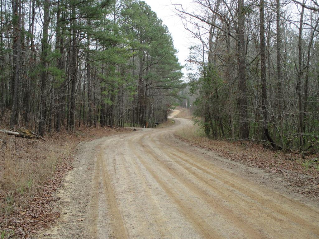 0 Settlement Road Dalzell, SC 29040 - Photo 10 of 11