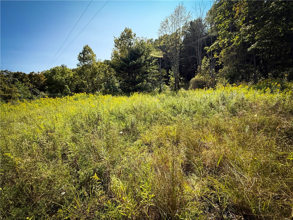 0 Worden Road Waverly, NY 14892 - Photo 4 of 42