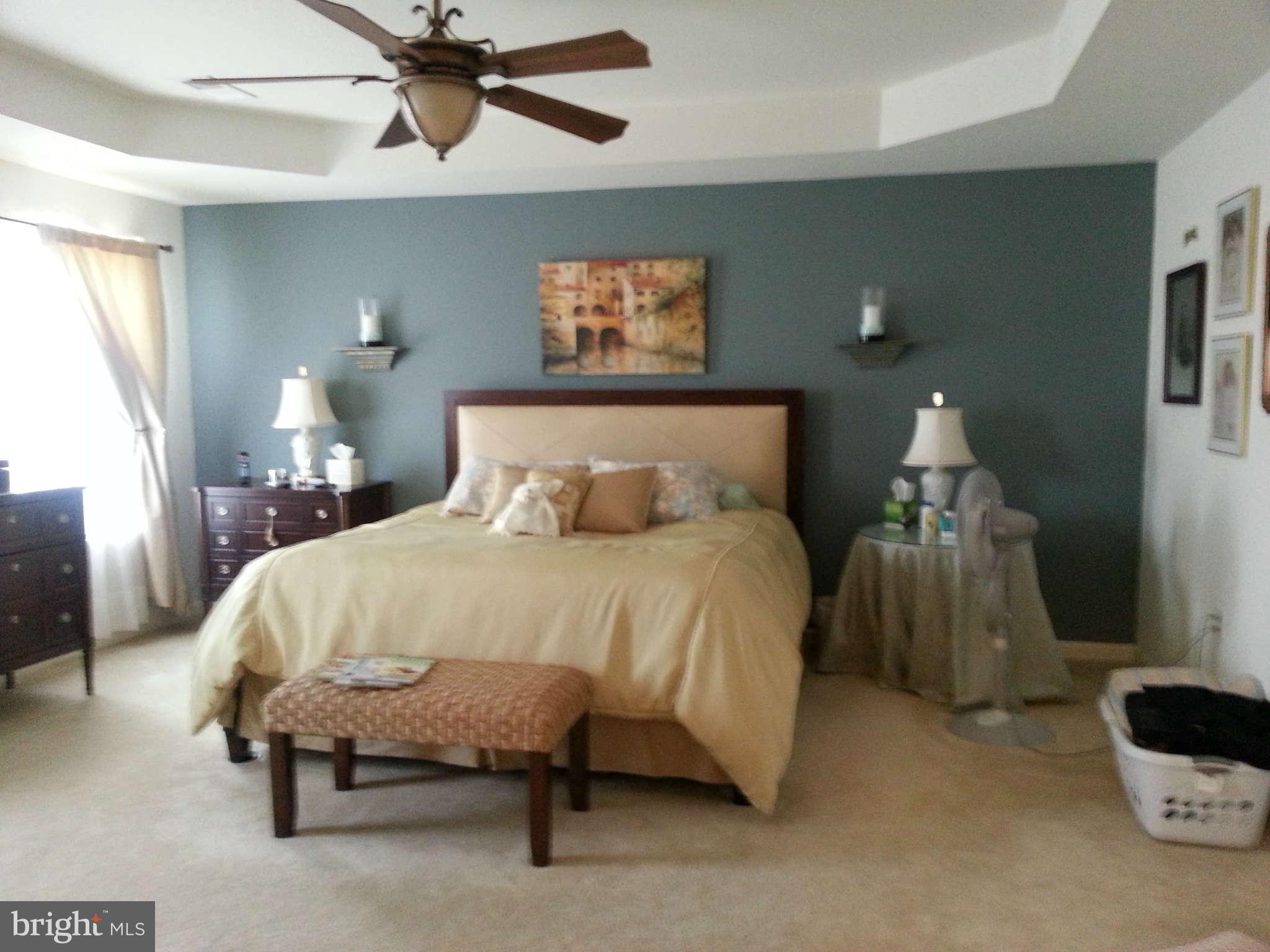 267 Rippling Waters Way Falling Waters, WV 25419 - Photo 17 of 29 Bedroom (Master)