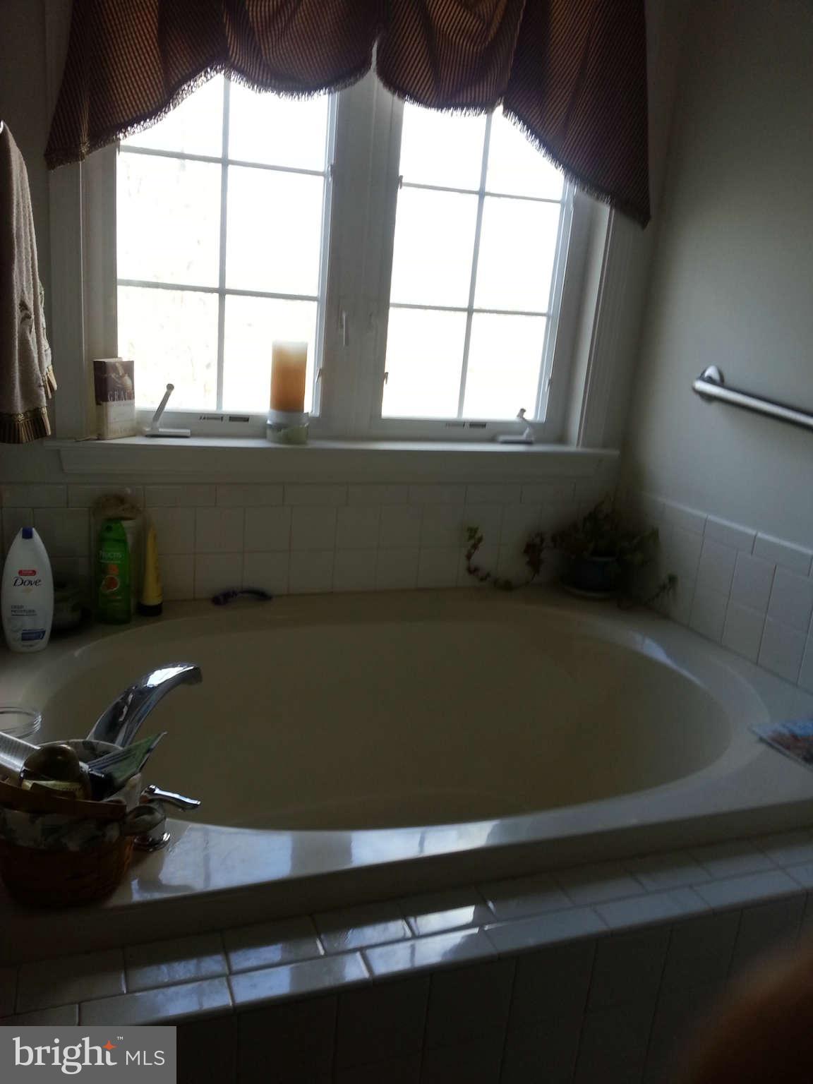 267 Rippling Waters Way Falling Waters, WV 25419 - Photo 19 of 29 Bath (Master)