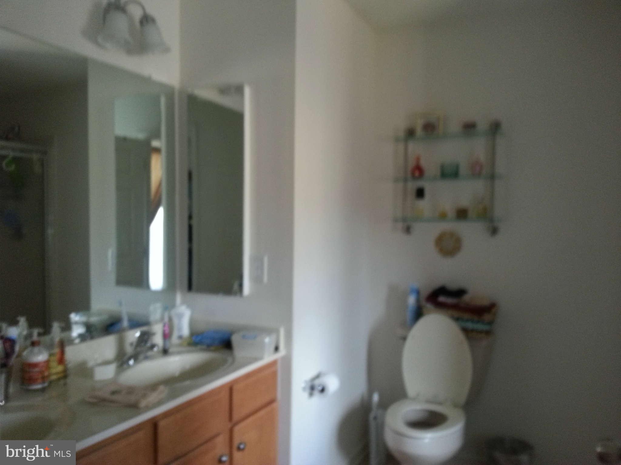 267 Rippling Waters Way Falling Waters, WV 25419 - Photo 20 of 29 Bath (Master)